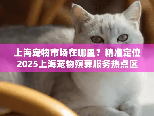 上海宠物市场在哪里？精准定位2025上海宠物殡葬服务热点区域