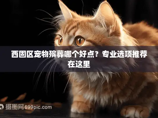 西固区宠物殡葬哪个好点？专业选项推荐在这里