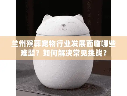 兰州殡葬宠物行业发展面临哪些难题？如何解决常见挑战？