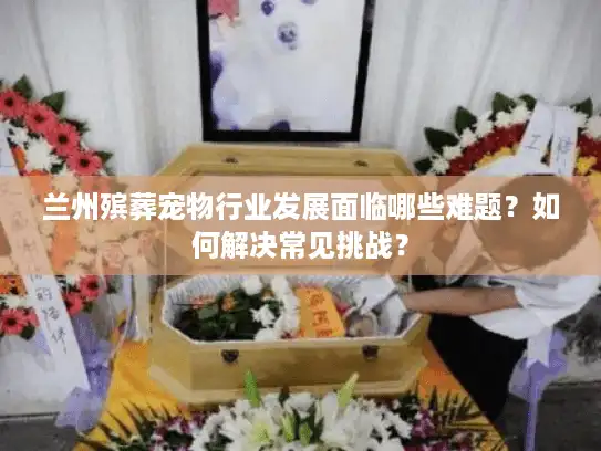 兰州殡葬宠物行业发展面临哪些难题？如何解决常见挑战？