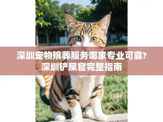 深圳宠物殡葬服务哪家专业可靠?深圳铲屎官完整指南