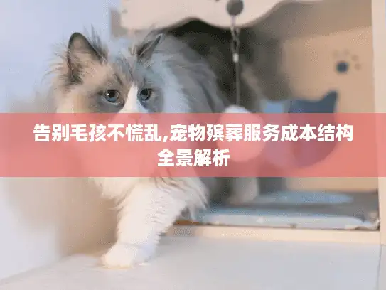 告别毛孩不慌乱,宠物殡葬服务成本结构全景解析