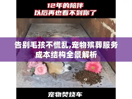 告别毛孩不慌乱,宠物殡葬服务成本结构全景解析
