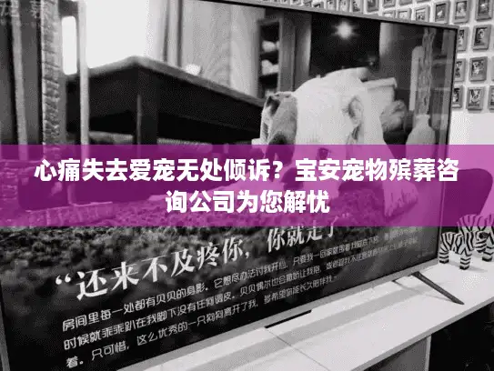 心痛失去爱宠无处倾诉？宝安宠物殡葬咨询公司为您解忧