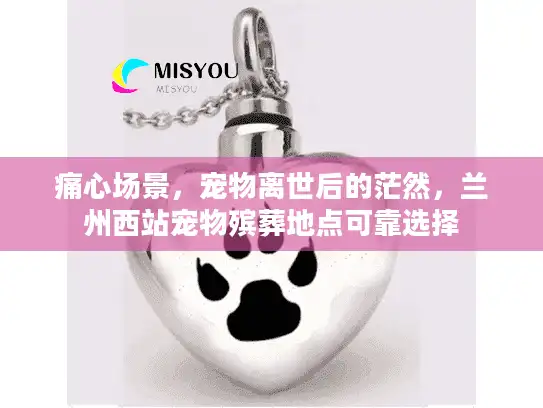 痛心场景，宠物离世后的茫然，兰州西站宠物殡葬地点可靠选择