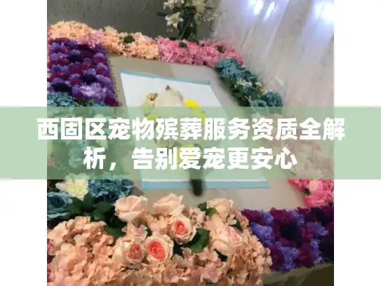 西固区宠物殡葬服务资质全解析，告别爱宠更安心