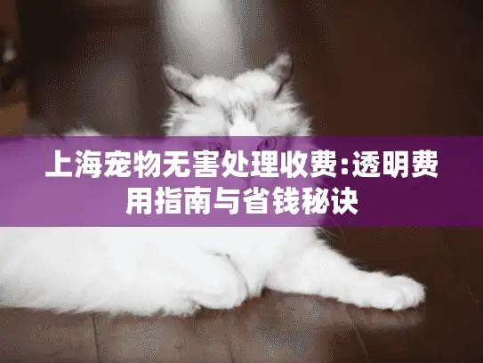 上海宠物无害处理收费:透明费用指南与省钱秘诀