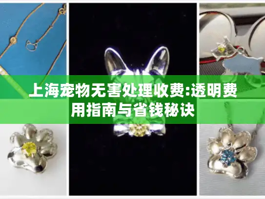 上海宠物无害处理收费:透明费用指南与省钱秘诀