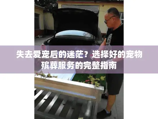 失去爱宠后的迷茫？选择好的宠物殡葬服务的完整指南