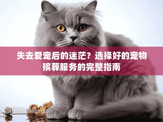 失去爱宠后的迷茫？选择好的宠物殡葬服务的完整指南