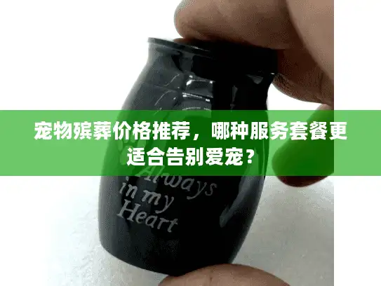 宠物殡葬价格推荐，哪种服务套餐更适合告别爱宠？