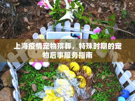 上海疫情宠物殡葬，特殊时期的宠物后事服务指南