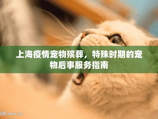 上海疫情宠物殡葬，特殊时期的宠物后事服务指南