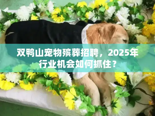 双鸭山宠物殡葬招聘，2025年行业机会如何抓住？