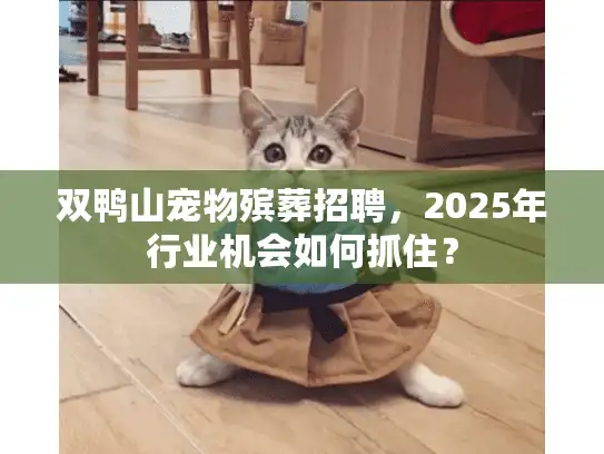 双鸭山宠物殡葬招聘，2025年行业机会如何抓住？