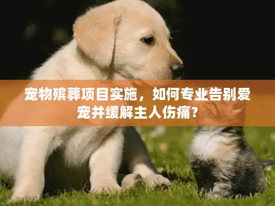 宠物殡葬项目实施，如何专业告别爱宠并缓解主人伤痛？