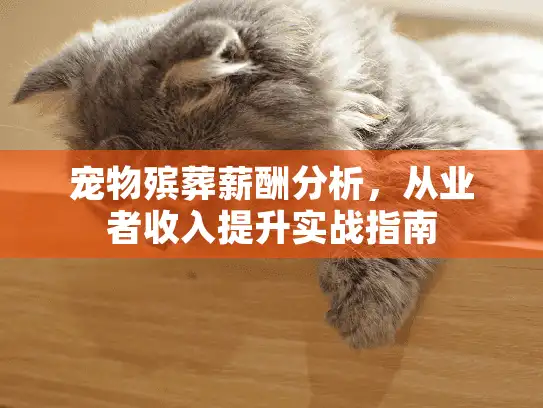 宠物殡葬薪酬分析，从业者收入提升实战指南