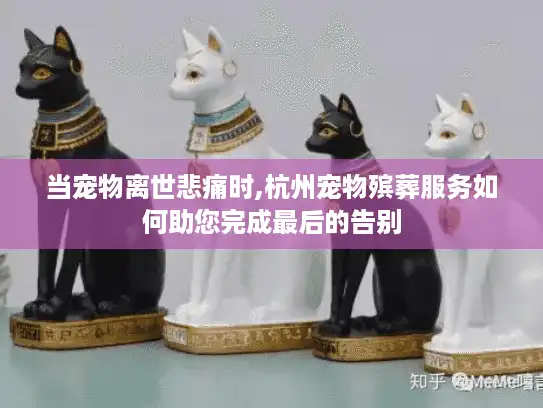 当宠物离世悲痛时,杭州宠物殡葬服务如何助您完成最后的告别