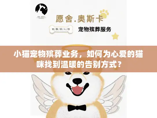 小猫宠物殡葬业务，如何为心爱的猫咪找到温暖的告别方式？