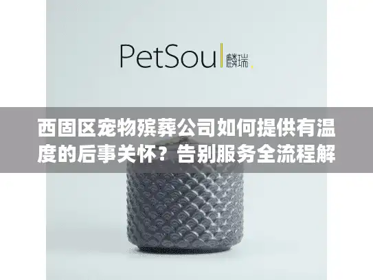 西固区宠物殡葬公司如何提供有温度的后事关怀？告别服务全流程解析