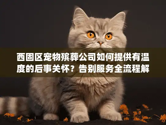 西固区宠物殡葬公司如何提供有温度的后事关怀？告别服务全流程解析