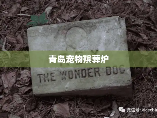 青岛宠物殡葬炉