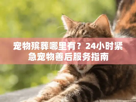 宠物殡葬哪里有？24小时紧急宠物善后服务指南
