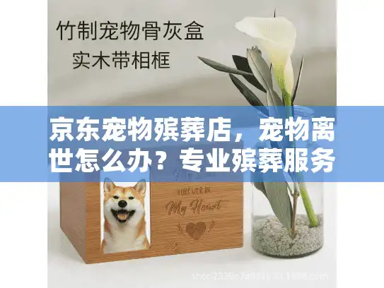 京东宠物殡葬店，宠物离世怎么办？专业殡葬服务帮您走出悲伤时刻