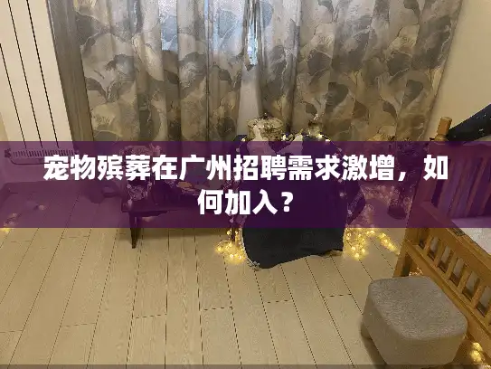 宠物殡葬在广州招聘需求激增，如何加入？