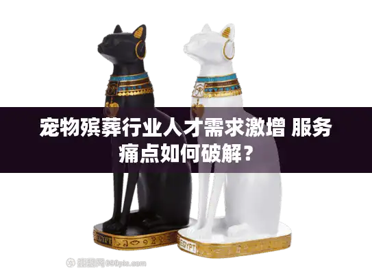 宠物殡葬行业人才需求激增 服务痛点如何破解？