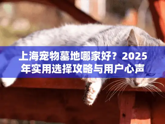 上海宠物墓地哪家好？2025年实用选择攻略与用户心声