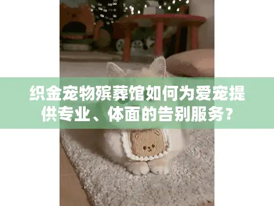 织金宠物殡葬馆如何为爱宠提供专业、体面的告别服务？