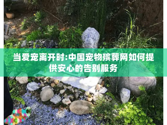 当爱宠离开时:中国宠物殡葬网如何提供安心的告别服务