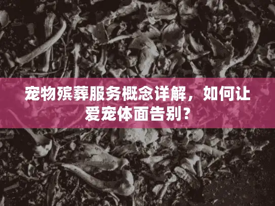 宠物殡葬服务概念详解，如何让爱宠体面告别？