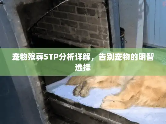 宠物殡葬STP分析详解，告别宠物的明智选择