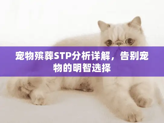 宠物殡葬STP分析详解，告别宠物的明智选择