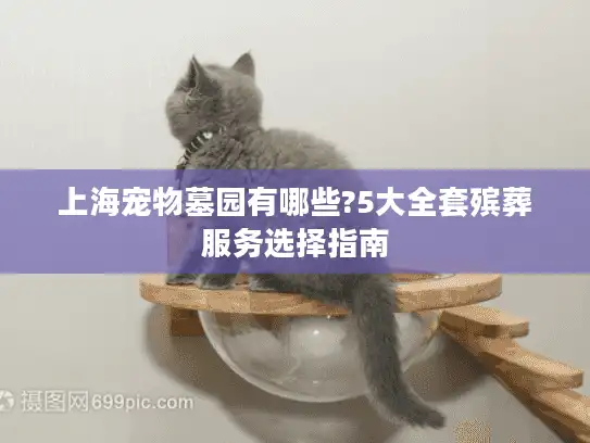 上海宠物墓园有哪些?5大全套殡葬服务选择指南