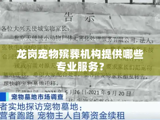 龙岗宠物殡葬机构提供哪些专业服务？
