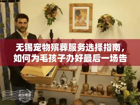 无锡宠物殡葬服务选择指南，如何为毛孩子办好最后一场告别