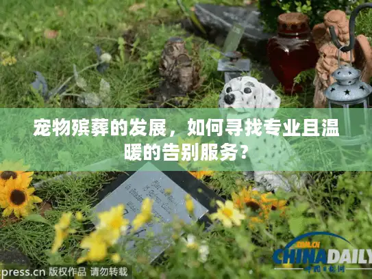 宠物殡葬的发展，如何寻找专业且温暖的告别服务？