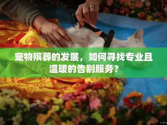 宠物殡葬的发展，如何寻找专业且温暖的告别服务？