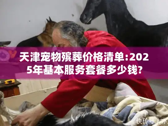 天津宠物殡葬价格清单:2025年基本服务套餐多少钱?