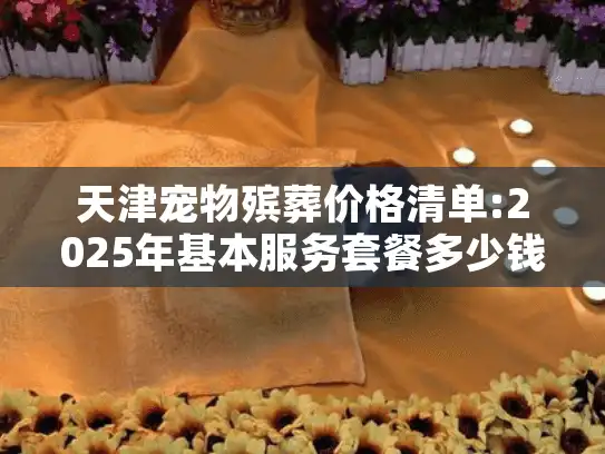 天津宠物殡葬价格清单:2025年基本服务套餐多少钱?