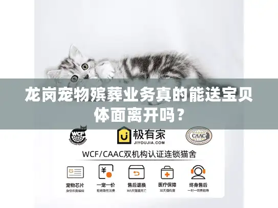 龙岗宠物殡葬业务真的能送宝贝体面离开吗？