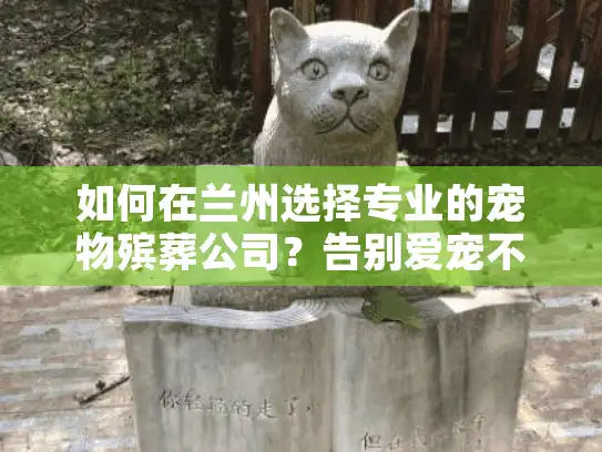 如何在兰州选择专业的宠物殡葬公司？告别爱宠不再迷茫