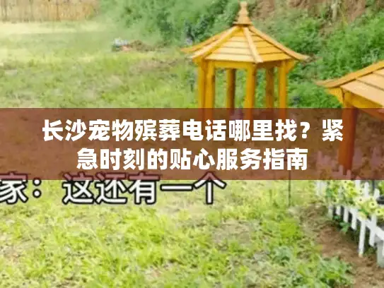 长沙宠物殡葬电话哪里找？紧急时刻的贴心服务指南