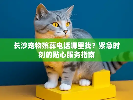 长沙宠物殡葬电话哪里找？紧急时刻的贴心服务指南