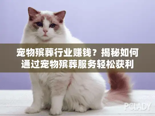 宠物殡葬行业赚钱？揭秘如何通过宠物殡葬服务轻松获利