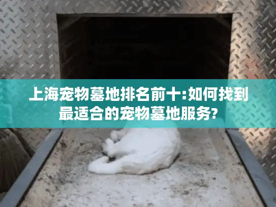 上海宠物墓地排名前十:如何找到最适合的宠物墓地服务?