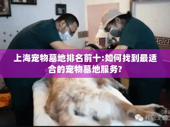 上海宠物墓地排名前十:如何找到最适合的宠物墓地服务?